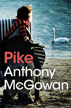 Pike Pike