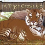 A Tiger Grows Up
