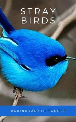 Stray Birds Stray Birds