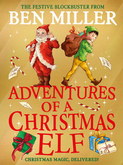 Christmas Elf 3