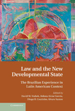 Law and the New Developmental State