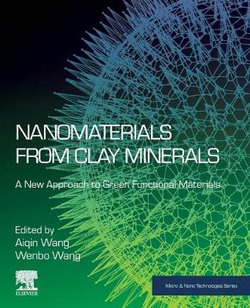 Nanomaterials from Clay Minerals