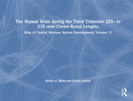 The Human Brain during the Third Trimester 225- to 235-mm Crown-Rump Lengths The Human Brain during the Third Trimester 225- to 235-mm Crown-Rump Lengths