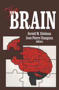 The Brain The Brain