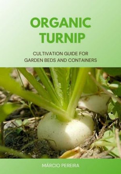 Organic Turnip