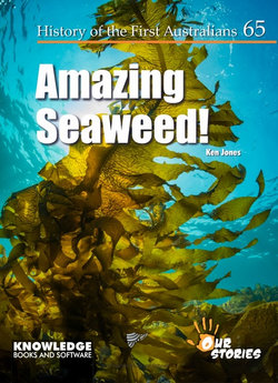 Amazing Seaweed Amazing Seaweed