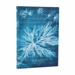 Sea Flowers (Anna Atkins' Cyanotypes) Midi Lined Softcover Journal (Elastic Band Closure)
