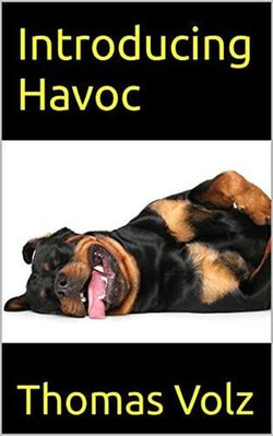 Introducing Havoc