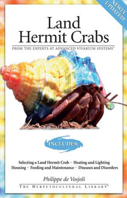 Land Hermit Crabs Land Hermit Crabs