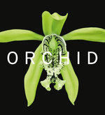 Orchid