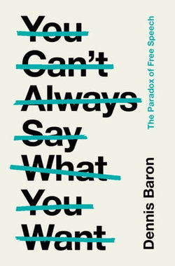 You Can't Always Say What You Want You Can't Always Say What You Want
