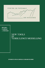New Tools in Turbulence Modelling