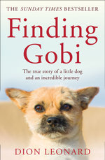 Finding Gobi (Main Edition)
