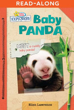 Baby Panda
