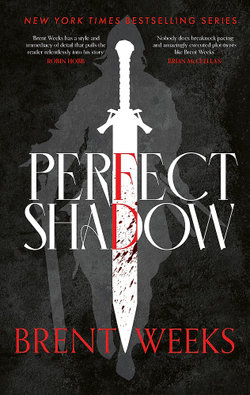 Perfect Shadow