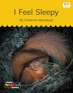 I Feel Sleepy (Set 10, Book 3) I Feel Sleepy (Set 10, Book 3)