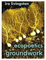 Ecopoetics Groundwork