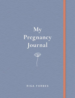 My Pregnancy Journal