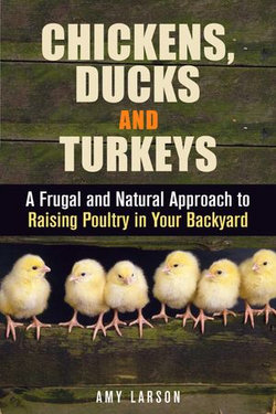 Chickens, Ducks and Turkeys: A Frugal and Natural Approach to Raising Poultry in Your Backyard
