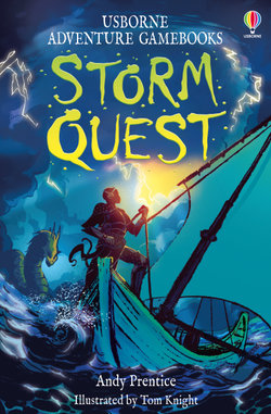 Storm Quest Storm Quest