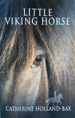 Little Viking Horse Little Viking Horse