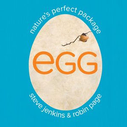 Egg Egg