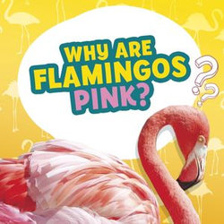 Why Are Flamingos Pink? Why Are Flamingos Pink?