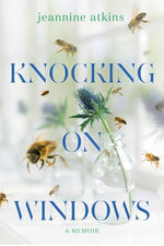 Knocking on Windows