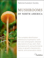 National Audubon Society Mushrooms of North America
