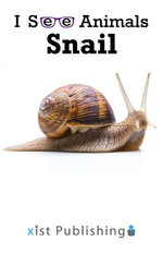 Snail