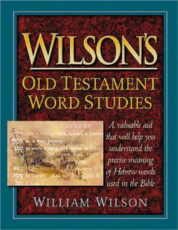 Wilson's Old Testament Studies