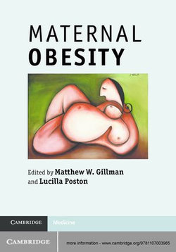 Maternal Obesity Maternal Obesity