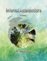 Internal Acupuncture (Volume 1)