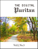 The Digital Puritan - Vol. I, No.3