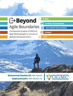 Beyond Agile Boundaries
