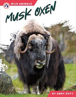 Musk Oxen Musk Oxen