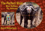 The Perfect Shot The Perfect Shot