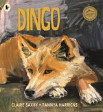 Dingo