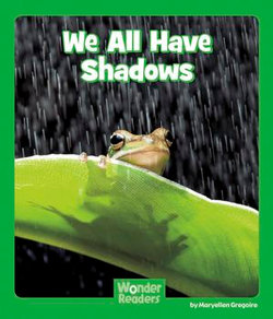 We All Have Shadows