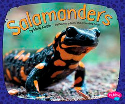 Salamanders
