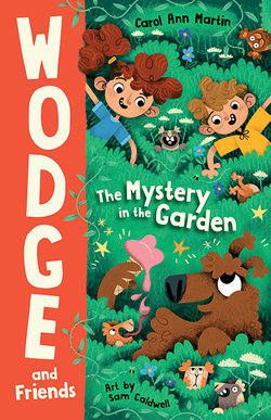 The Mystery in the Garden