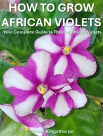 How to Grow African Violets : The Complete Guide