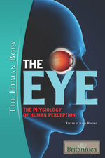 The Eye: The Physiology of Human Perception