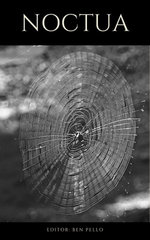 Noctua Review Noctua Review