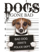 Dogs Gone Bad Dogs Gone Bad