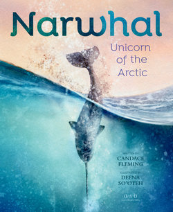 Narwhal