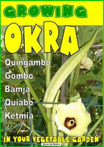 Growing Okra in your vegetable garden Growing Okra in your vegetable garden