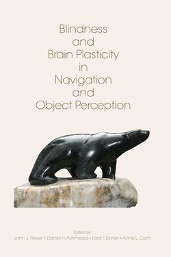 Blindness and Brain Plasticity in Navigation and Object Perception Blindness and Brain Plasticity in Navigation and Object Perception
