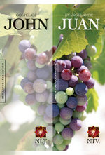 Gospel of John-PR-NLT/OS