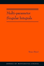 Multi-parameter Singular Integrals, Volume I